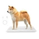thumbnail image 1 of Báscula digital para mascotas, versión de carga, plataforma de escala de animales, 3 modos de pesaje, kg, libra, st: lb, máx. 220 libras, precisión 10 g, 27.16 x 13 pulgadas, 1 of 6