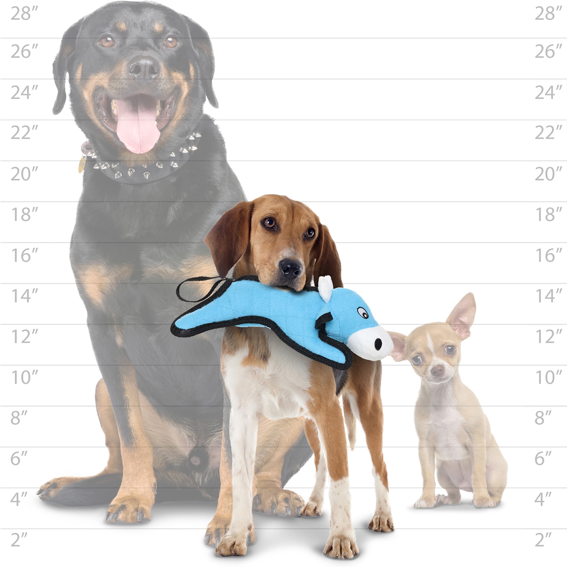 TUFFY® Jr Barnyard Cow, 2-Pack Durable Dog Toys