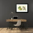 thumbnail image 4 of Elisabeth Geertruida van de Kasteele 24x17 Black Modern Framed Museum Art Print Titled - A Pear, Peach, Plum and Nuts, After Michiel Van Huysum (1818 - 1853), 4 of 5