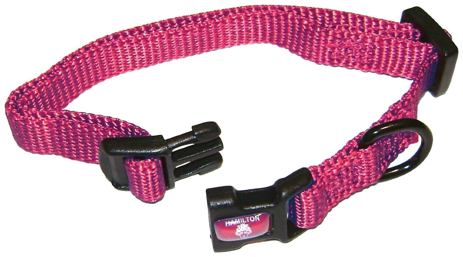 Blue X-Small 3/8 x 10-14 Hamilton Adjustable Combo Choke Dog Collar 