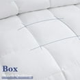 thumbnail image 4 of SOPAT Goose Feathers Down Comforter Queen Size Luxurious All Season Duvet Insert ,Ultra-Soft 200GSM 10% Goose Feather and 90% Down Insert Alternative Filling,(88"x88", White), 4 of 9