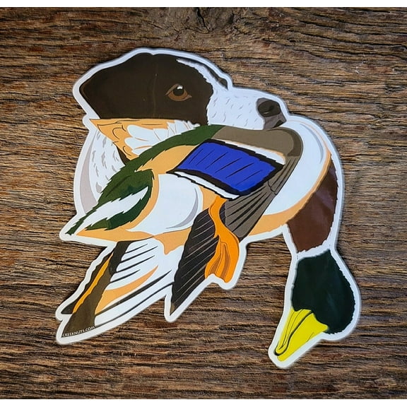 German Shorthaired Pointer with Mallard Duck Sticker Decal