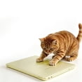 thumbnail image 4 of Hard Frosted Laptop Thin Cover Slim Fit for 13 Inch Notebook Black, 4 of 5