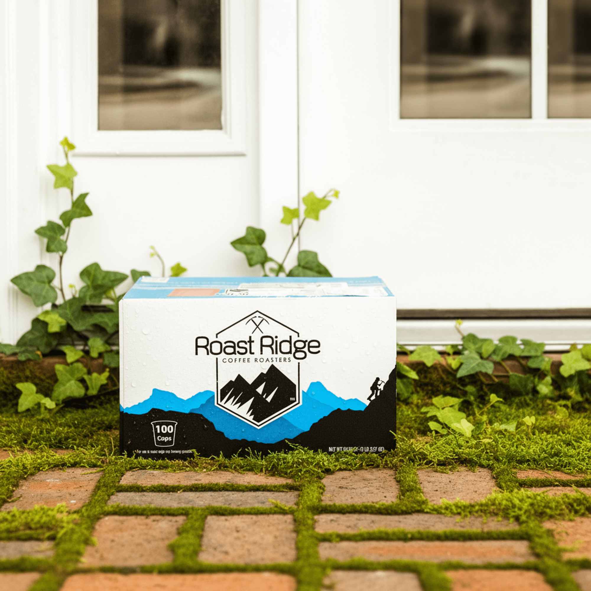 Roast Ridge Single Serve Coffee Pods for Keurig K-Cup Brewers, Blueberry Cobbler, Medium Roast, 100 Count