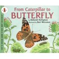thumbnail image 1 of From Caterpillar To Butterfly (Oversized), 1 of 2