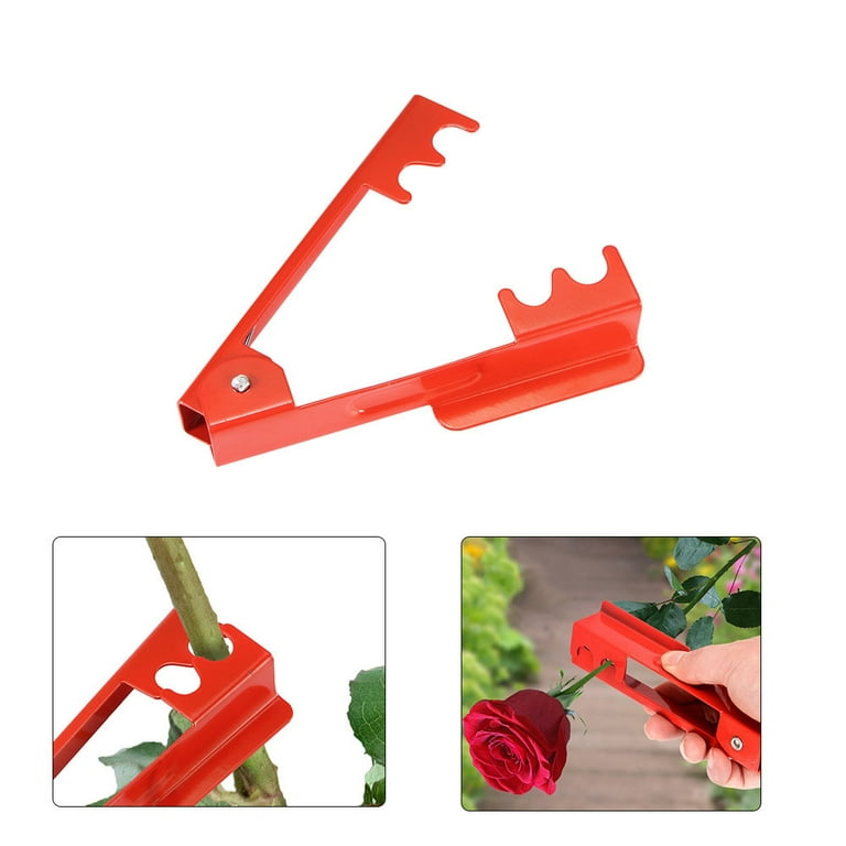 SENRISE Rose Leaf Thorn Stripper Rose Thorn Remover Kit for Roses Floral  Arrangement Gardening Tool Iron Red 