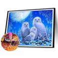 thumbnail image 1 of Cuadros Decorativos 5D DIY Diamond Painting Kits Full Round Drill Owl Mosaic Picture Craft (E1969) Tmvgtek embutido en tela, 1 of 8