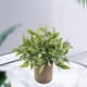thumbnail image 2 of Mini plantas en maceta de pulpa gris, vegetación de plástico sintético, pequeños bonsáis artificiales Sale de, 2 of 9