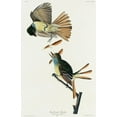 thumbnail image 2 of Audubon, John James 10x14 Black Ornate Wood Framed with Double Matting Museum Art Print Titled - Great Crested Flycatcher, 2 of 4