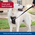 thumbnail image 6 of Walk Right Front Connected Dog Harness, Medium, Black, 6 of 10