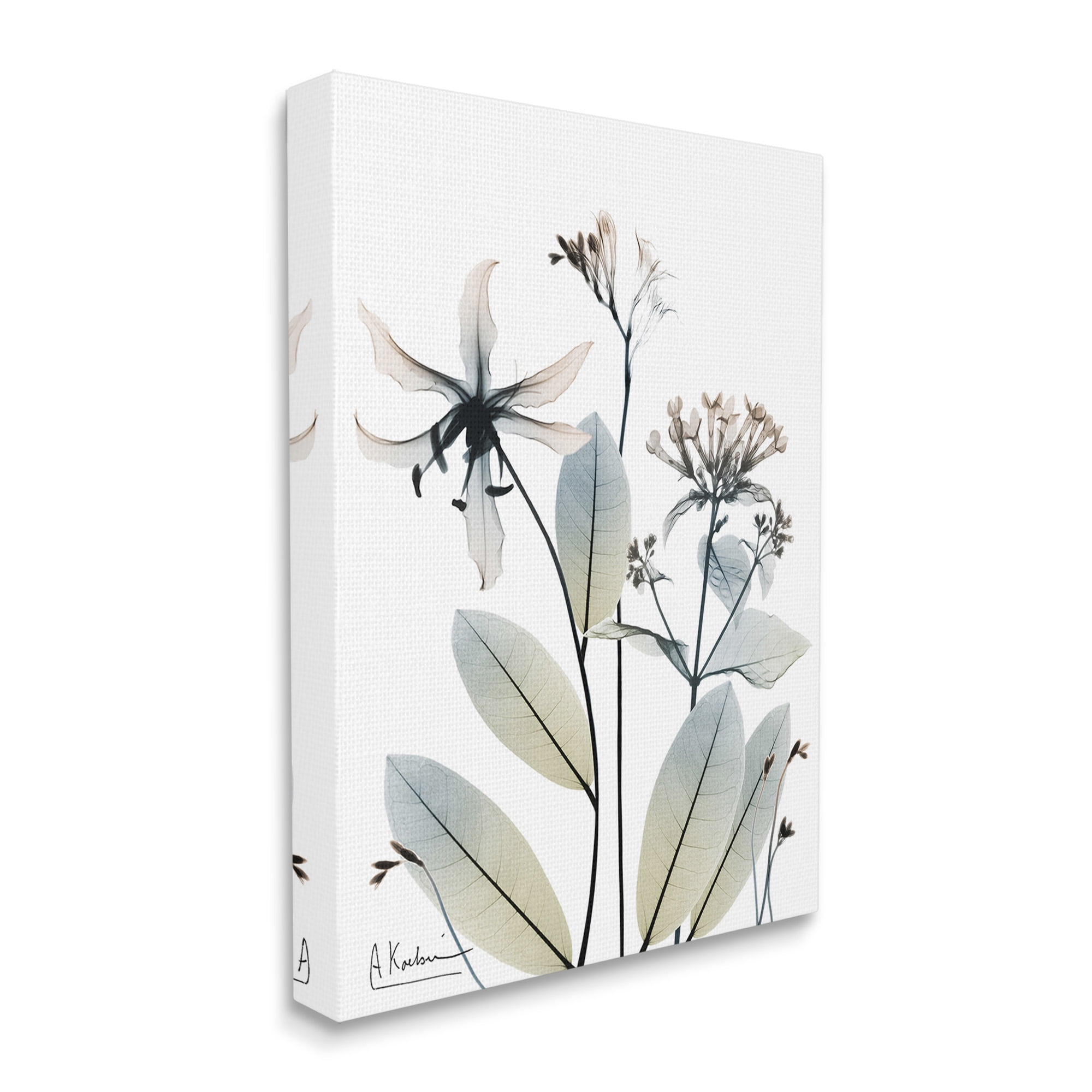 Stupell Industries Minimal Plant Blossoms Botanical & Floral Photography Gallery Wrapped Canvas Art Print Wall Art, 16 x 20