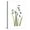 Canvas, variant on Art.com Snowdrop Portrait Premium Giclee Print by Albert Koetsier, 12" x 16"