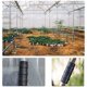 thumbnail image 4 of 50 Pack 25mm Clamps for Greenhouses - Durable and Secure Plant Support, 4 of 5