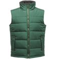 thumbnail image 3 of Regatta Mens Standout Altoona Insulated Bodywarmer Jacket, 3 of 4