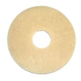 thumbnail image 1 of Cuidado de piedras para BISSELL BigGreen Commercial BGEM9000, 1 of 1