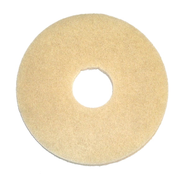 Cuidado de piedras para BISSELL BigGreen Commercial BGEM9000