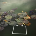 thumbnail image 4 of Miangastore Fish Feeding Ring Aquarium Floating Feeder Square Frame With Suction Cup Waste-Reducing Fish Tank Feeding Tool Reusable Acrylic Feeding Ring, 4 of 8