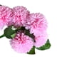 thumbnail image 4 of Ramo de flores artificiales de 5 cabezas, ceremonia de fiesta de boda, decoración floral, tela de seda, flor falsa con hojas, rosa claro kenally HA6561-06B, 4 of 6