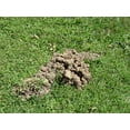 thumbnail image 4 of Tomcat Mole Trap, 4 of 7