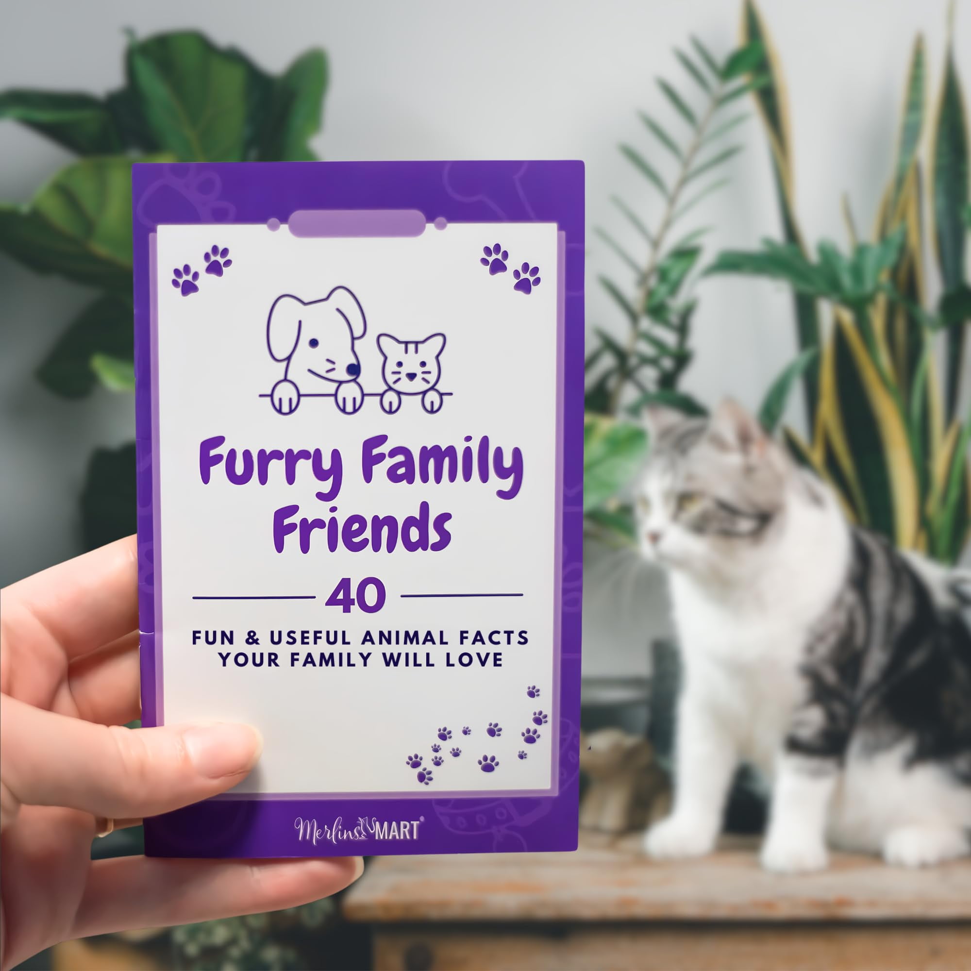 Natural Balance Platefulls Wet Cat Food – 8 Pouch Variety (Chicken & Salmon, Turkey Duck Chicken, Chicken Giblets, Chicken Liver) – 3 oz Pouches| MerlinsMart Zine & 2 Catnip Toys