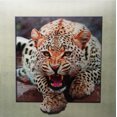 thumbnail image 1 of Jaguar Attacking - 3D Lenticular Poster - 16 x 16 Print, 1 of 1