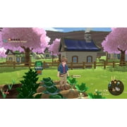 Harvest Moon: Winds of Anthos, Nintendo Switch