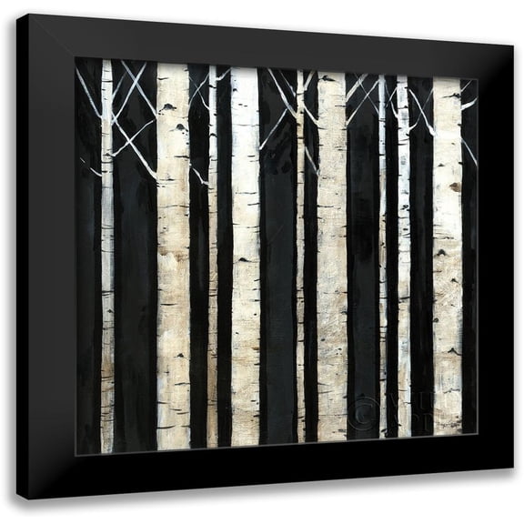 Tillmon, Avery 12x12 Black Modern Framed Museum Art Print Titled - Birch Tree Square II