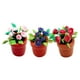 thumbnail image 5 of 3 minibonsáis de resina en miniatura, plantas en maceta pequeñas, decoración para jardín de hadas, 5 of 7