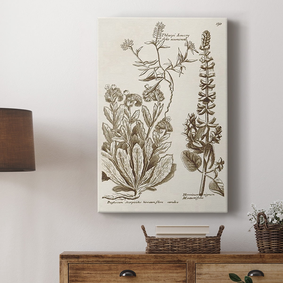 Sepia Botanical Journal IV Premium Gallery Wrapped Canvas - Ready to Hang