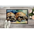 thumbnail image 2 of Carolines Treasures DAC2994JMAT 0.15 x 24 x 36 in. Turtles Tortoises Rectangle Doormat, 2 of 5