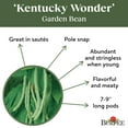 Burpee Organics Kentucky Wonder Garden Bean Seeds NonGMO, Pole Bean