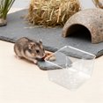 thumbnail image 4 of FENGGUIQU 4Ud De Para Hamster Y Pequeños Material Plástico Transparente Con Estable, 4 of 8