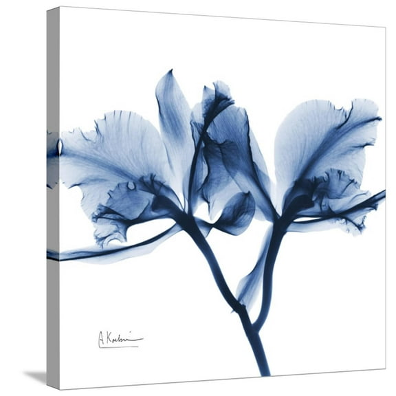 Art.com Indigo Orchid Stretched Canvas Print Wall Art by Albert Koetsier, 24" x 24"