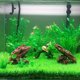 thumbnail image 2 of Alfombra de hierba falsa para acuario de césped artificial cuadrado para pecera para decoración, 2 of 5