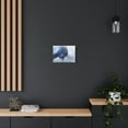 thumbnail image 6 of Wild Bison And A Pine Forest Buffalo Art Canvas Wall Art for Home Decor Ready-to-Hang, 6 of 15