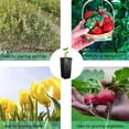 thumbnail image 3 of MYG Plastic Deep Nursery Tree Pot 7.8inch Flower Plant Container Pot Outdoor Garden, 3 of 9