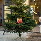 thumbnail image 5 of Decoración navideña: campanas navideñas, colgantes para árbol de Navidad, adornos para pared, puerta y techo. Arreglo decorativo para escena navideña., 5 of 7