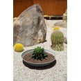 thumbnail image 4 of YYEAN 24" Lane Round Bowl Planter for Indoor or Outdoor Use - 2-Pack -Gray, 4 of 10