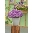 thumbnail image 2 of Pot de fleurs Mainstays Basic Bell 30 cm, gris, design classique avec soucoupe intégrée, résistant aux intempéries, finition mate., 2 of 4