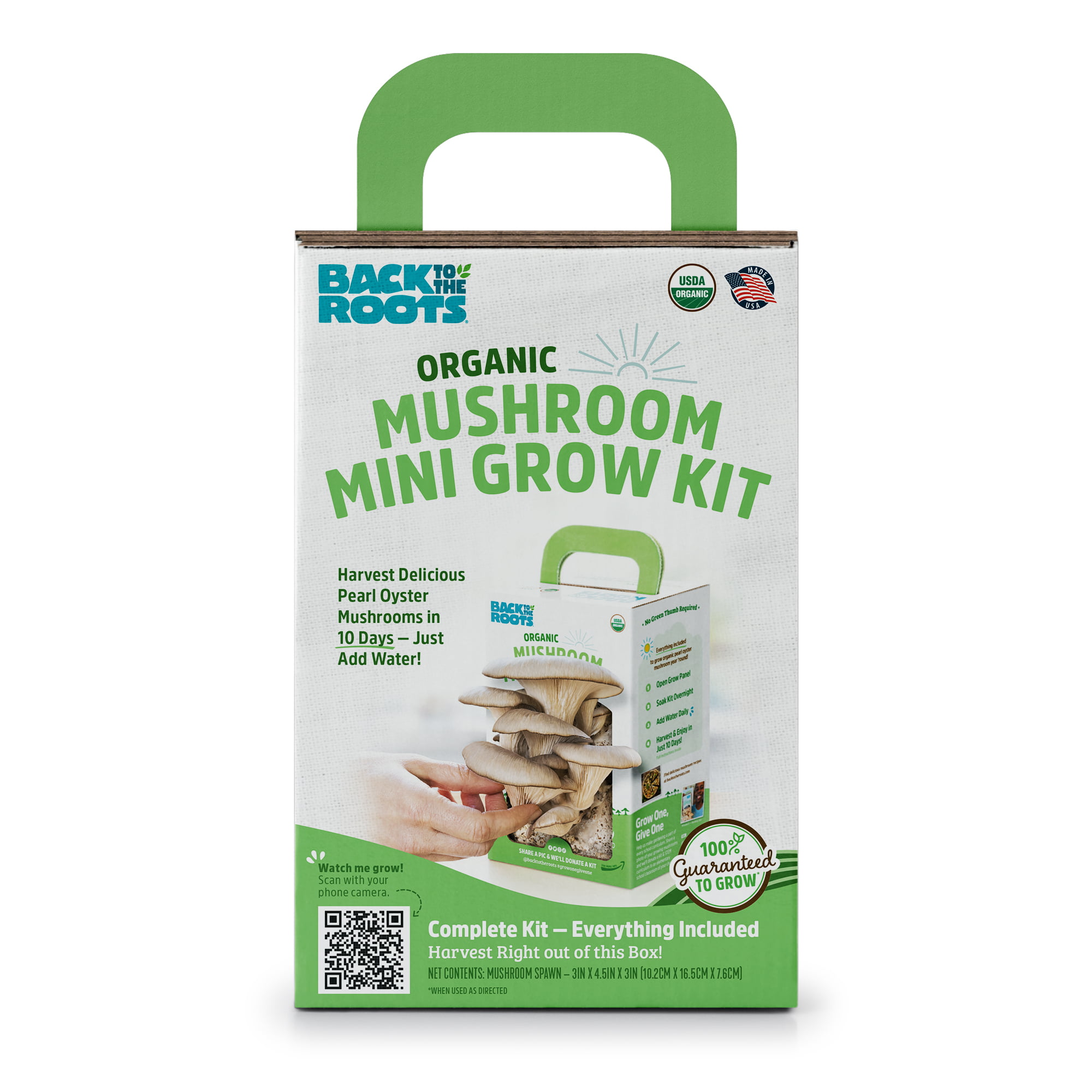 Back to the Roots Organic Pearl Oyster Mushroom Mini Grow Kit, 4 Pieces