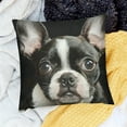 thumbnail image 2 of Autua Boston Terrier Dog Decorative Throw Pillow Covers Pillows Case Square Cushion Cover Standard Pillowcase for Sofa Couch Bedroom Patio  12x12in, 2 of 5