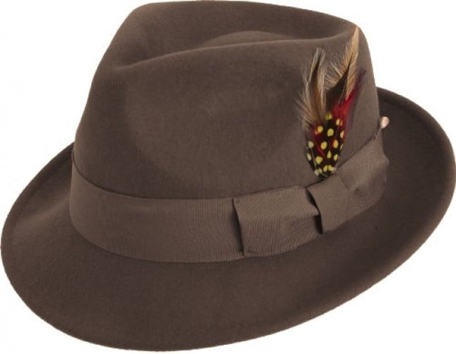 mens brown felt hat
