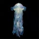 thumbnail image 5 of 5 Pcs Jellyfish Night Light Portable Flower Lamp Hanging Jellyfish Lights for Bedroom Room Atmospher, 5 of 5