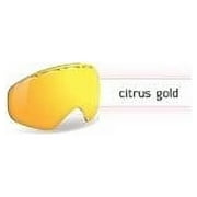 Bolle Fathom Goggle Replacement Lenses