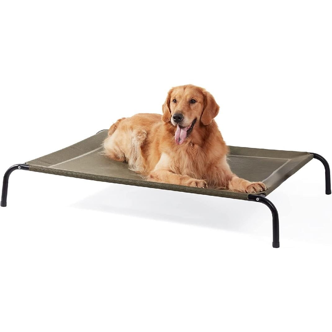 best raised dog beds for large dogs