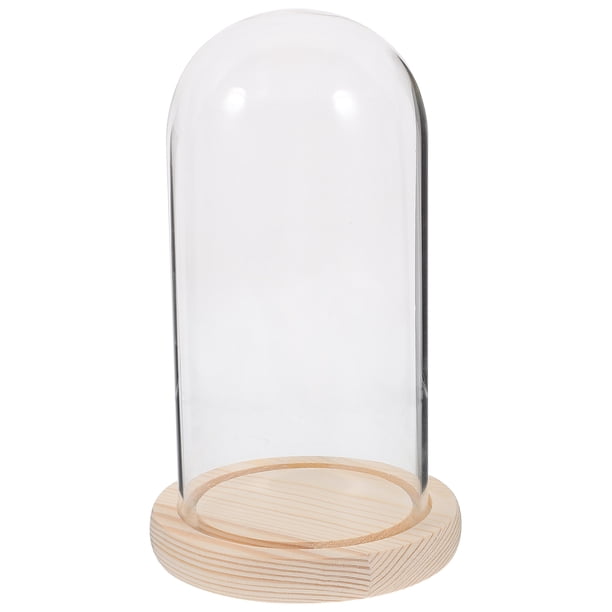 Cúpula de cristal transparente con forma de flor eterna para San Valentín, rosa preservada