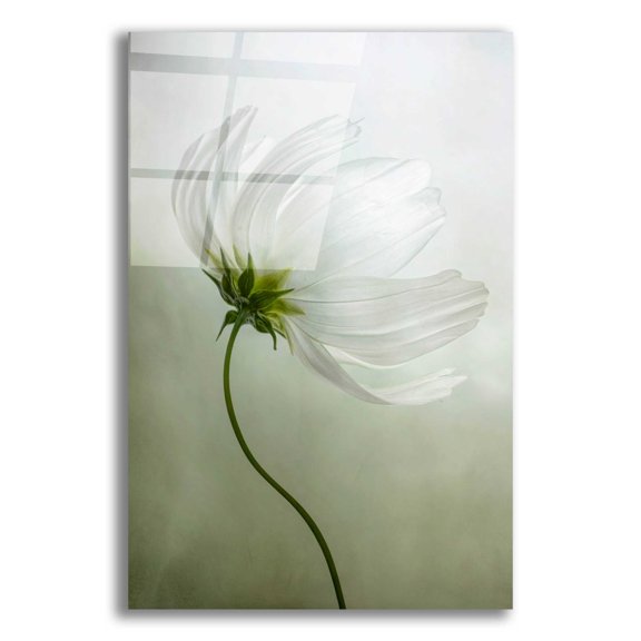 Epic Art 'Cosmos Charisma' by Mandy Disher, Acrylic Glass Wall Art, 16"x24"
