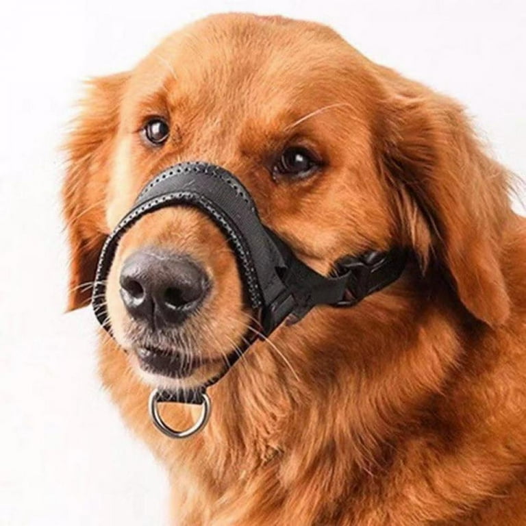 Do muzzles prevent dogs from clearance barking