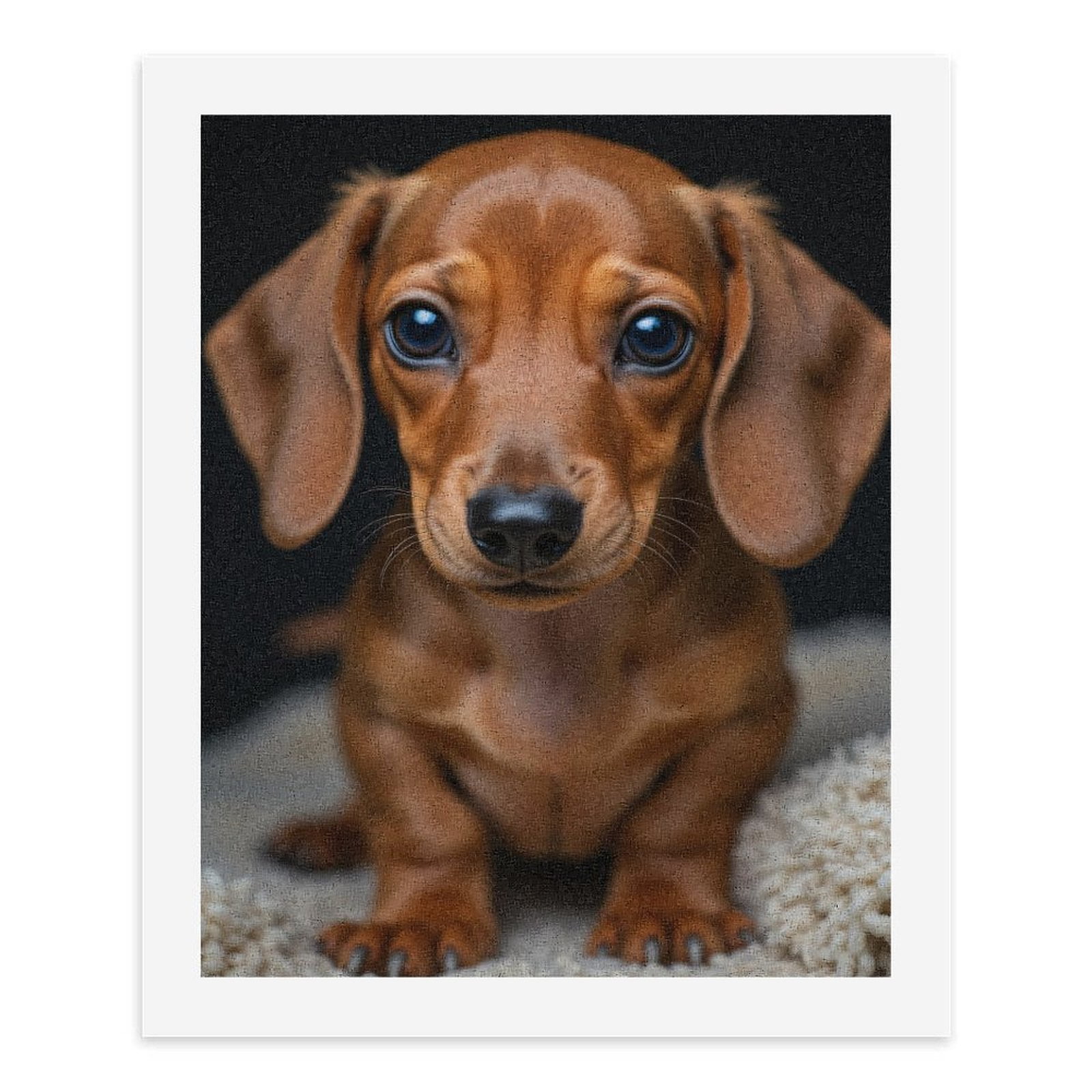 Paint by Numbers Kit for Adults, Adorable Dachshund Puppy Portrait Paint by Numbers, Easy Paint by Numbers Kit for Adults Beginner, DIY Adult Paint by Number Kits on Canvas, Home Decor
