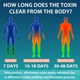 thumbnail image 5 of 90,000 MG Detox and Cleanse, Body Detox for Men & Women, Fast Detox, Kidney Cleanse Detox & Repair, Natural Herbal Premium Formula for Liver, Digestion & Mood, Made in USA, 60 Caps, 5 of 5